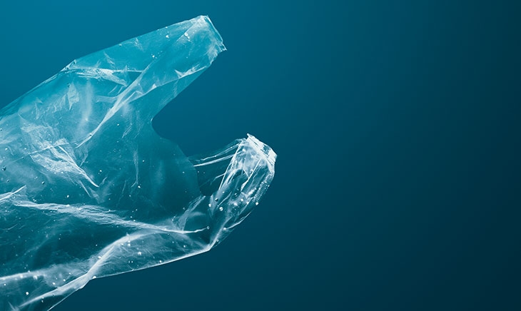 Legal Memo Salvamare