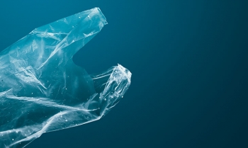 Legal Memo Salvamare