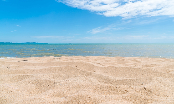 Legal Memo Bolkstein Directive